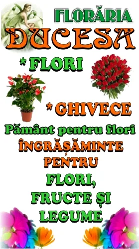 Printuri outdoor, exemplu 7 din portofoliul FOCUS