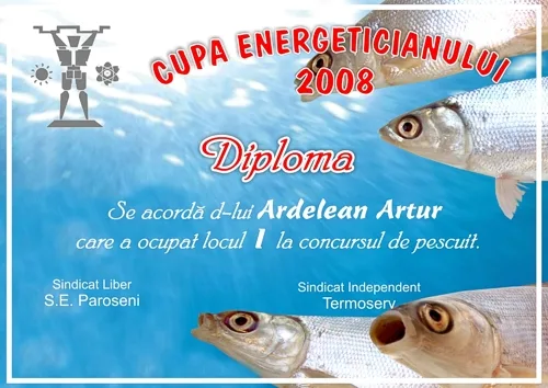 Diplome, exemplu 3 din portofoliul FOCUS