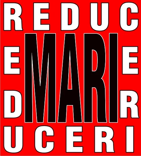 Panouri publicitare, exemplu 7 din portofoliul FOCUS