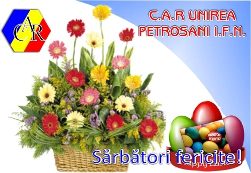 Vederi și felicitări, exemplu 13 din portofoliul FOCUS
