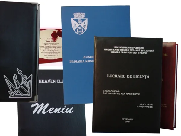 Serigrafie, exemplu 8 din portofoliul FOCUS