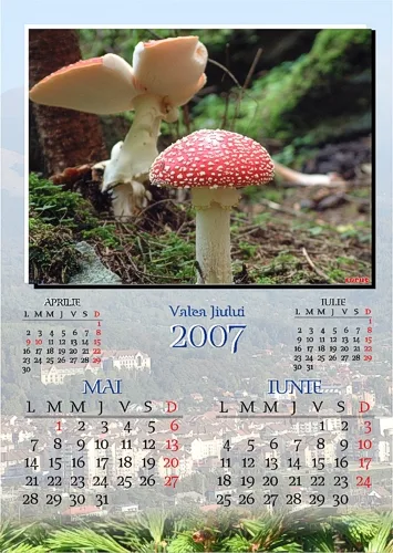 Agende și calendare, exemplu 5 din portofoliul FOCUS