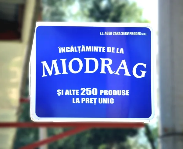 Firme luminoase, exemplu 2 din portofoliul FOCUS