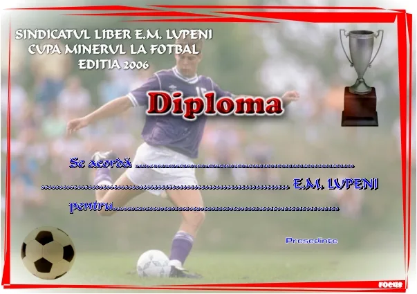 Diplome, exemplu 11 din portofoliul FOCUS